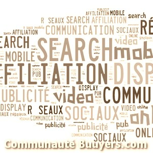 Logo Au Dela Du Virtuel Marketing digital