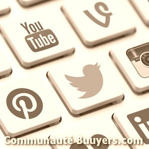 Logo Bemobee Mobile Network Group