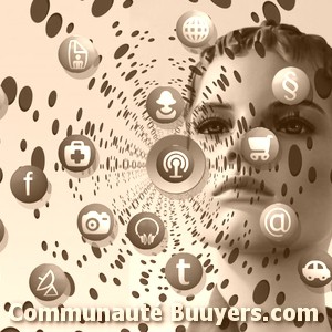 Logo C.i.n.s (communication Internet Networks Solutions) Sites vitrine