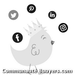 Logo Elvis