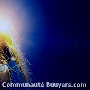 Logo Inforex Services