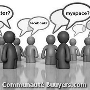 Logo Input Sales Forces