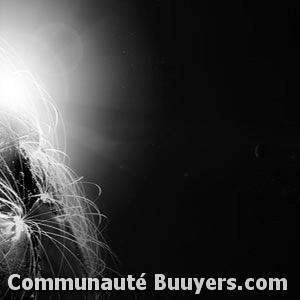 Logo Laurent Virbinie