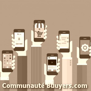 Logo Mérovée Communication E-commerce