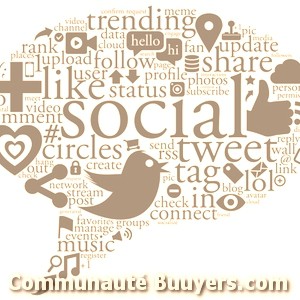 Logo My Social Branding Communication d'entreprise