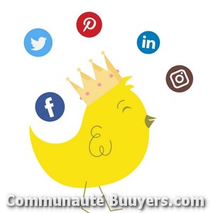 Logo Overseas Communication Consulting Edition E-commerce