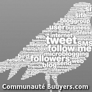 Logo Pyramides Communication (sarl) Marketing digital
