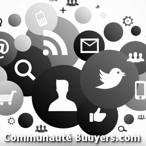 Logo Theine Communication Marketing digital