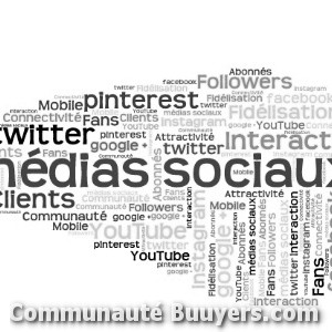 Logo Web Réseaux Solutions Consulting Marketing digital