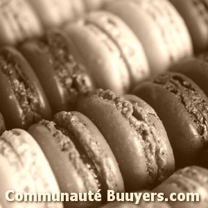 Logo Bandouna (sarl)