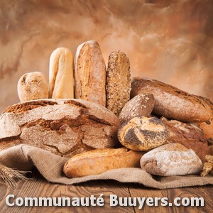 Logo Boulangerie Massot Guillaume Bio et sans gluten