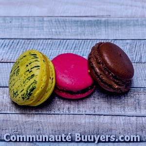 Logo Boulangerie Pâtisserie Du Canigou Bio et sans gluten