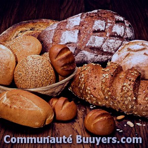 Logo Boulangeries B.g Bio et sans gluten