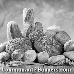 Logo Boulangeries Marie Blach&egrave;re