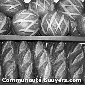 Logo Brioche Delaire Bio et sans gluten