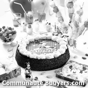 Logo Imiola G&eacute;rard