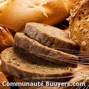 Logo La Fille Et Le Boulanger Bio et sans gluten