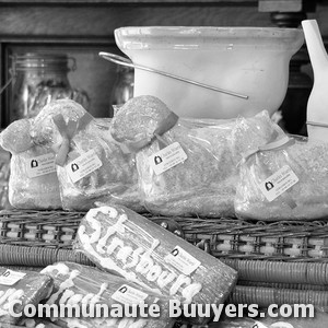 Logo La Flûte Enchantée