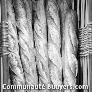 Logo Osbild Christophe