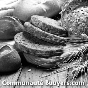 Logo Ounissi Messaoud