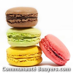 Logo Robin Des Pains