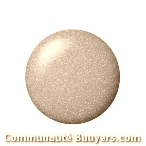 Logo Robin Perrot Sas