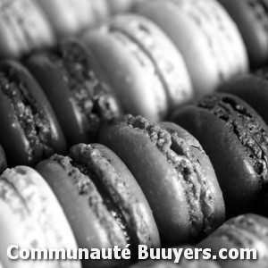 Logo Touati Amirouche