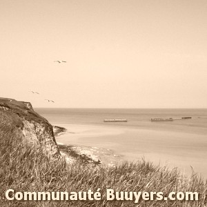 Logo Camping Du Lac D'hautibus