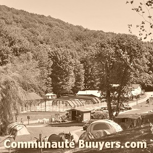 Logo Camping Du Truc Vert