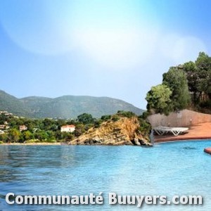 Logo Camping Le Bois D'amour