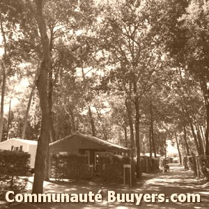 Logo Camping Le Marcassin