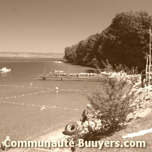 Logo Camping Les Pins