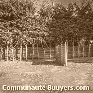 Logo Camping Les Pirons