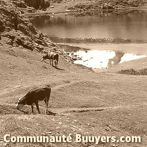 Logo Camping Paris Est