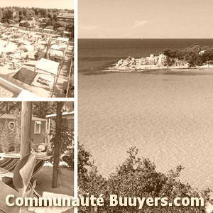 Logo Camping Pissevaches