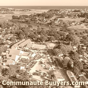 Logo Casa Del Torrente