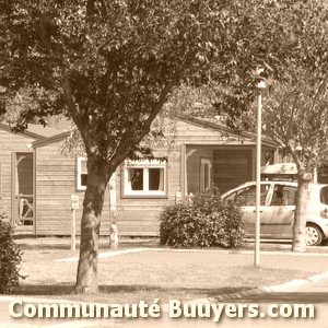 Logo Les Campeoles (ciat)