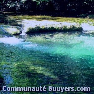 Logo L'ile Aux Oiseaux