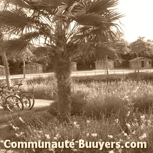 Logo Vacances Loisirs Activ' Camping Jean P&eacute;res Et La Dune Membre