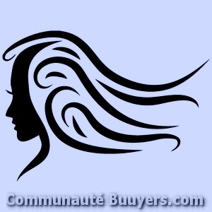 Logo ANGEL HAIR Coiffure à domicile