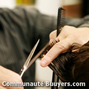 Logo Au Salon Coiffure à domicile