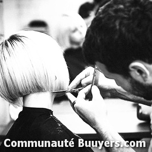 Logo Bigoud'ys coiffure