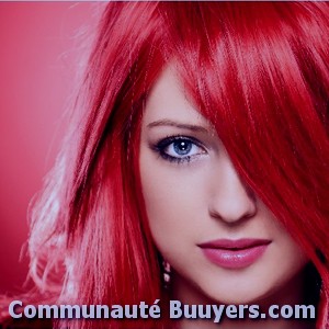 Logo Butterfly Coiffure