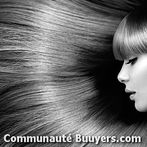 Logo Concept coiffure Coiffure à domicile