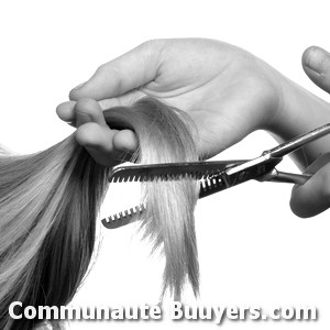 Logo Courant d'Hair Coiffure à domicile