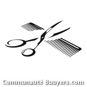 Logo Divin'Hair (SARL)