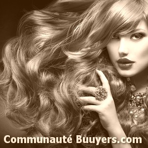 Logo Emilie Coiffure