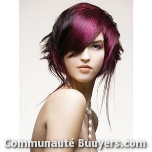 Logo Eric Stipa Coiffeur