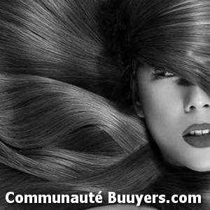 Logo EVELYNE COIFFURE