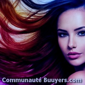 Logo Exclusif Coiffure